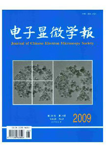 電子顯微學(xué)報(bào)雜志