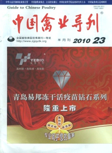 中國禽業(yè)導(dǎo)刊雜志