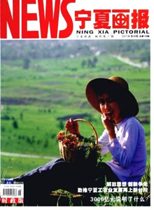 寧夏畫報·時政版雜志