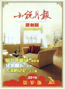 小說月報·長篇小說雜志