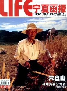 寧夏畫(huà)報(bào)·生活版雜志