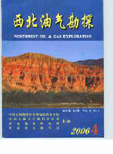 西北油氣勘探雜志