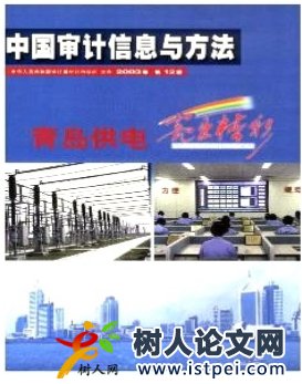 中國審計(jì)信息與方法