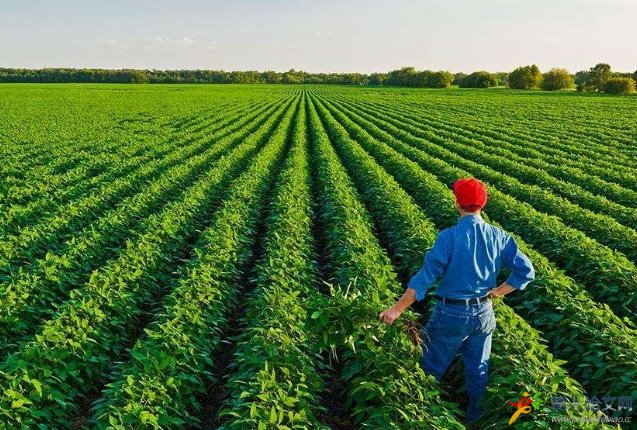 高級(jí)農(nóng)藝師必須是農(nóng)業(yè)專業(yè)嗎