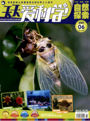 淺談信息化背景下語文教學與電子白板的融合策略