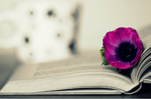 二級播音員職稱需要什么條件