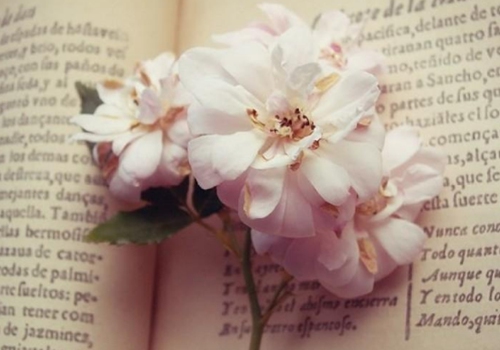 沒(méi)有試驗(yàn)的論文發(fā)sci期刊難嗎