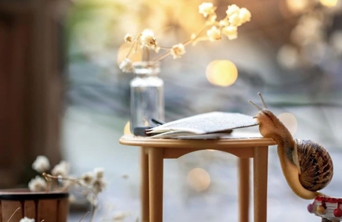 建筑工程師職稱要準(zhǔn)備哪些學(xué)術(shù)成果