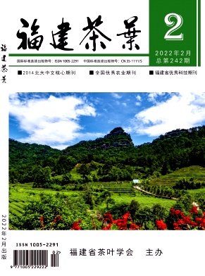 茶文化在小學英語文化板塊教學中的滲透