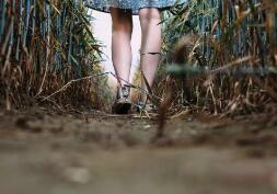 英文論文崔發(fā)表