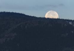 市政工程專業(yè)職稱