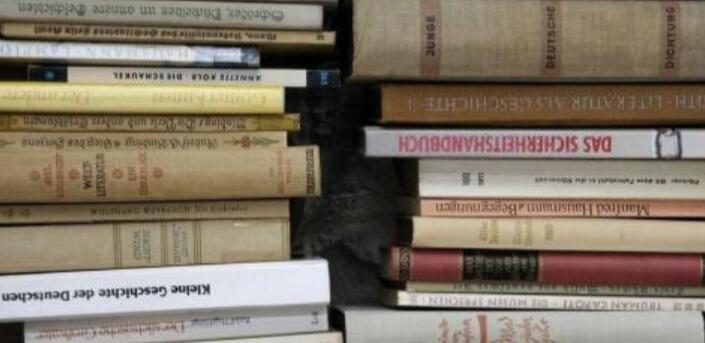 機械制造論文字數