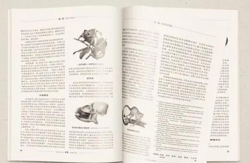 會計(jì)類中文期刊