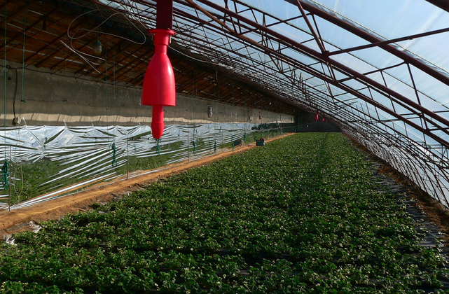 農(nóng)業(yè)職稱(chēng)論文刊發(fā)