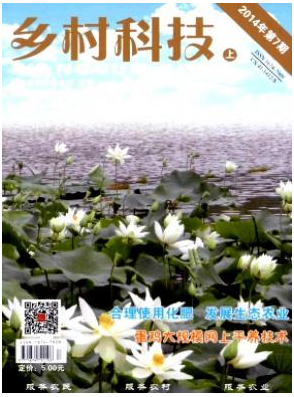 鄉(xiāng)村科技