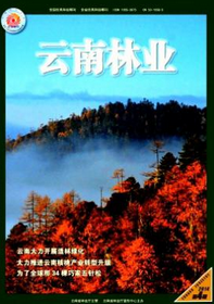 云南林業