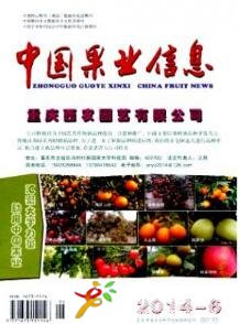 中國果業信息