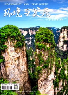 環(huán)境與發(fā)展