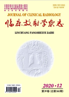 臨床放射學雜志北大核心