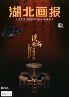湖北畫報屬于哪類期刊